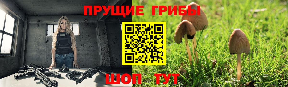 Кызыл  Псилоцибиновые грибы Cubensis  дарнет шоп  Вход с VPN 
